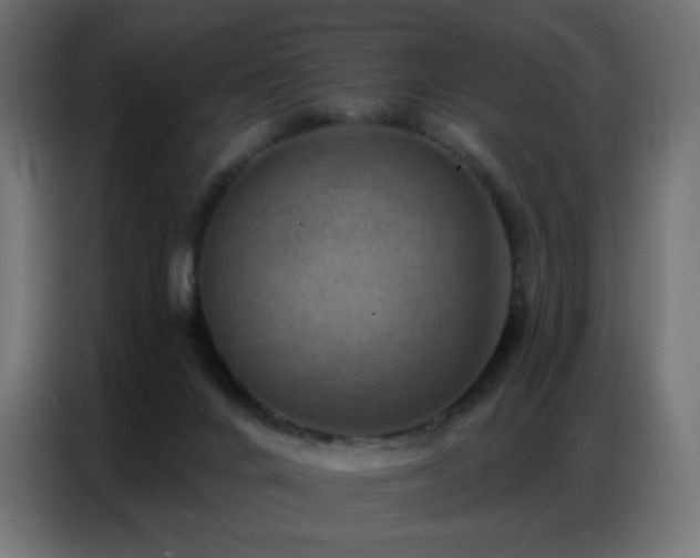 X0000086930024200704161434