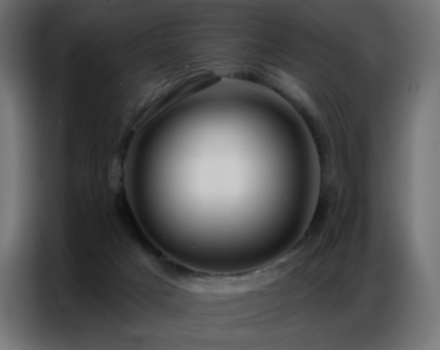 X0000086930025200704161434