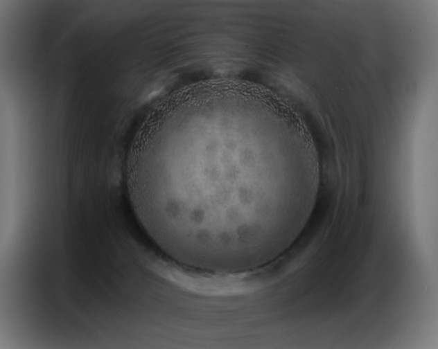 X0000086930032200704161434