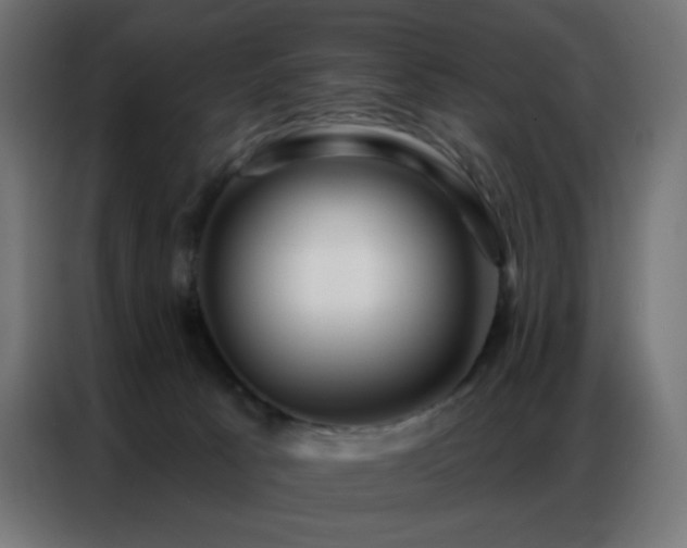 X0000086930033200704161434