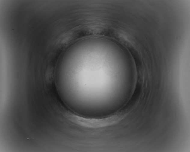 X0000086930034200704161434