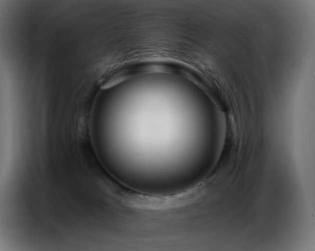 X0000086930037200704161434