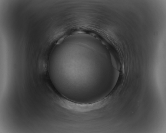 X0000086930039200704161434