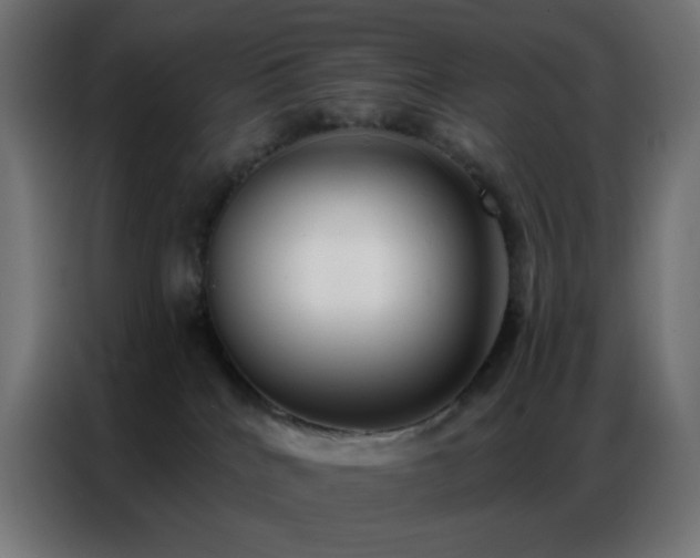 X0000086930040200704161434