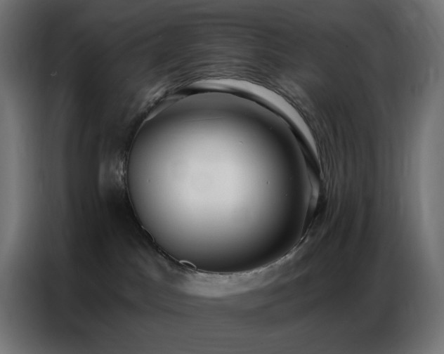 X0000086930045200704161433