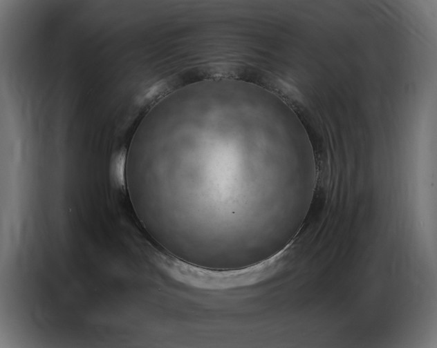 X0000086930047200704161433