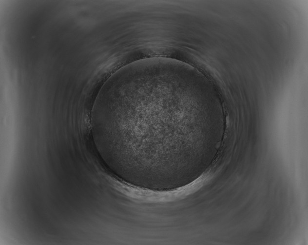 X0000086930048200704161433