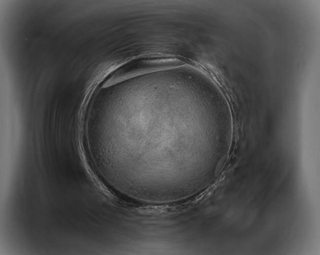 X0000086930049200704161433