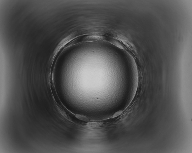 X0000086930051200704161433