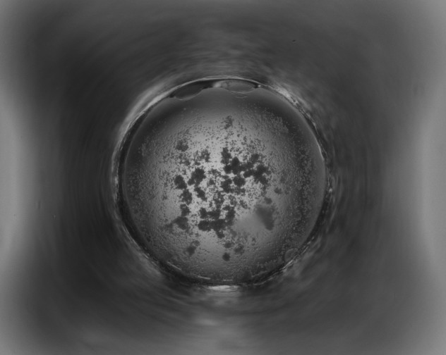 X0000086930053200704161433