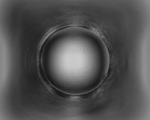 X0000086930055200704161433