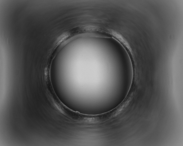 X0000086930057200704161433