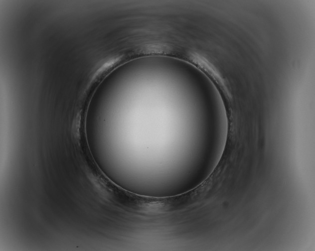 X0000086930058200704161433