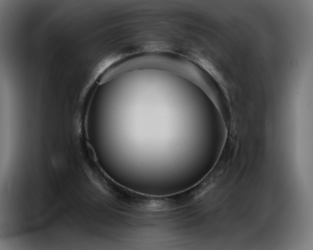 X0000086930060200704161433