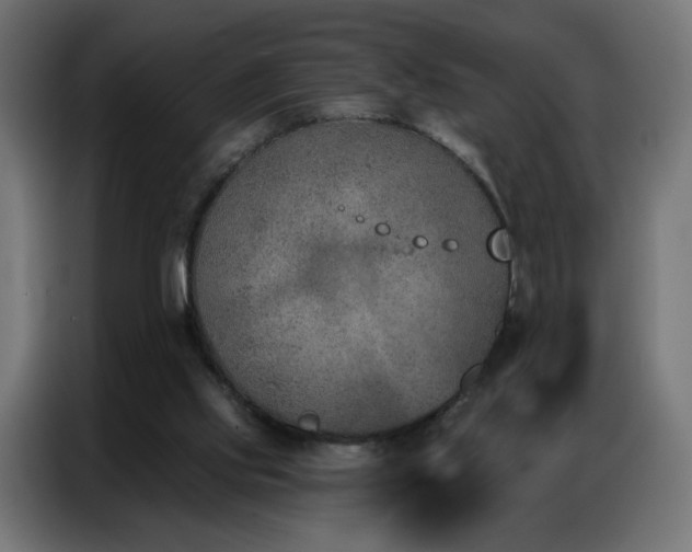 X0000086930061200704161433