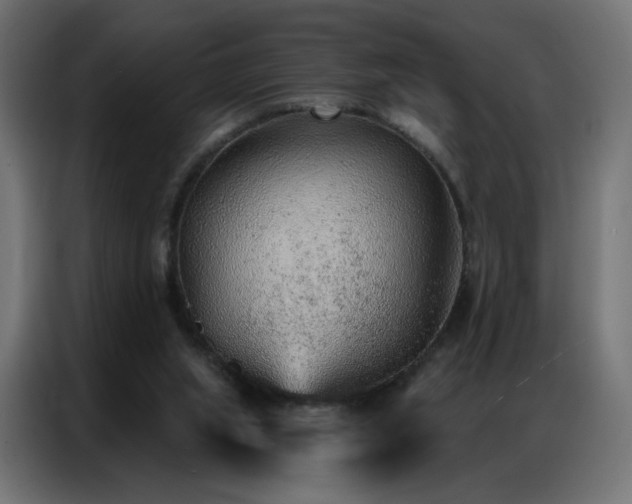 X0000086930063200704161433