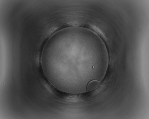 X0000086930065200704161433