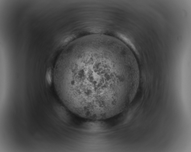 X0000086930069200704161433