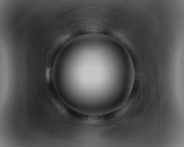 X0000086930070200704161433