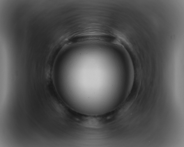 X0000086930073200704161433