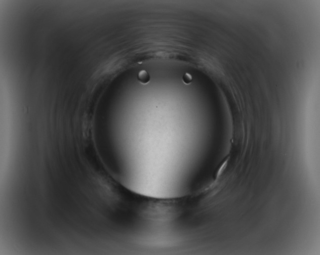 X0000086930078200704161433