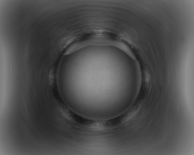 X0000086930080200704161433