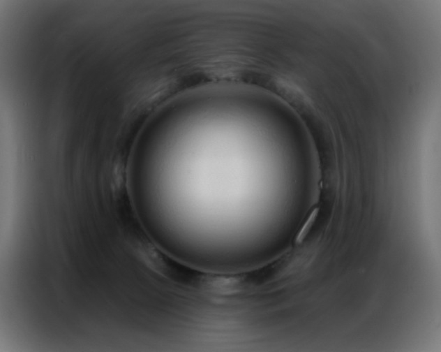 X0000086930081200704161433