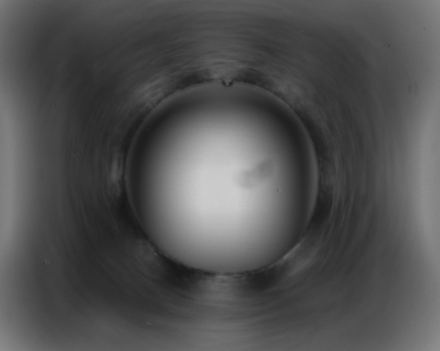 X0000086930082200704161433