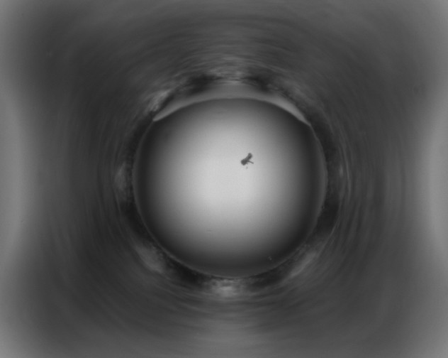 X0000086930088200704161433