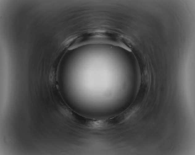 X0000086930092200704161433