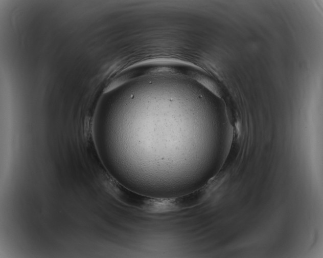 X0000086930093200704161433