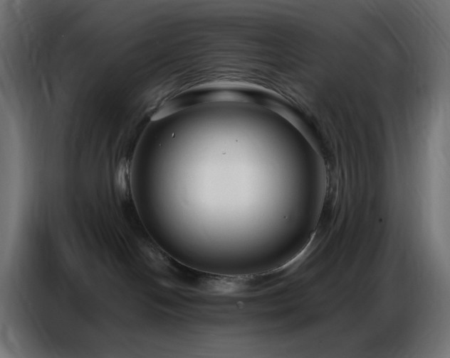 X0000086930094200704161433