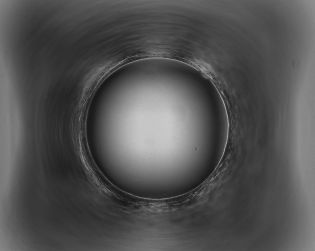 X0000086930097200704161433