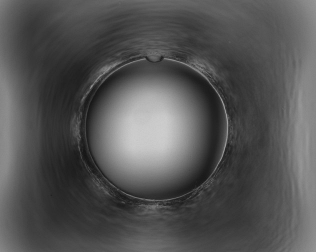 X0000086930098200704161433