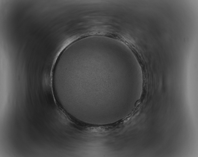 X0000086930100200704161433