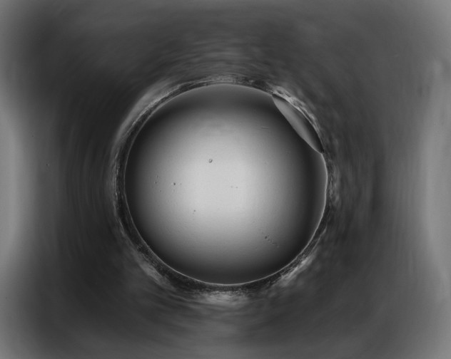 X0000086930101200704161433