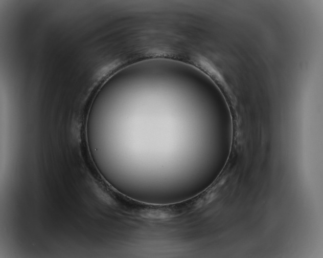 X0000086930106200704161433