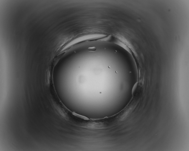 X0000086930109200704161433