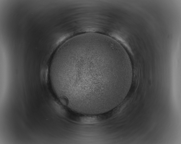 X0000086930110200704161433