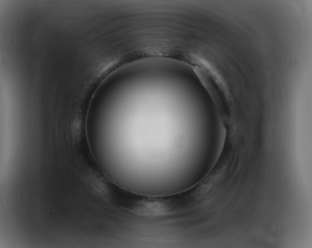 X0000086930113200704161433