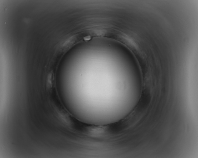 X0000086930122200704161432