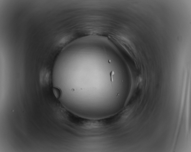 X0000086930123200704161432