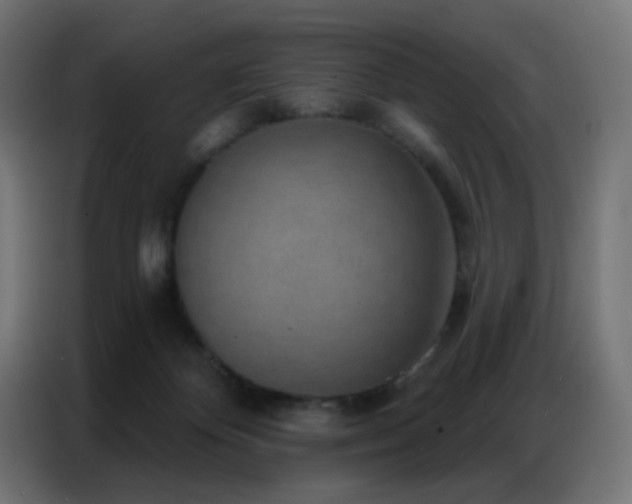 X0000086930124200704161432