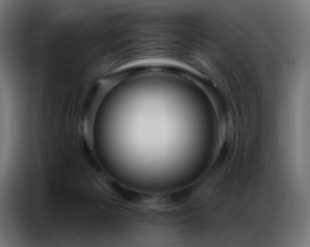 X0000086930125200704161432