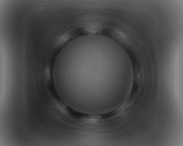 X0000086930128200704161432