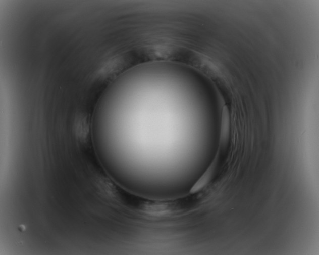 X0000086930129200704161432