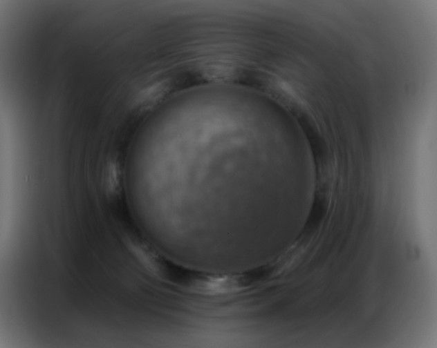 X0000086930130200704161432