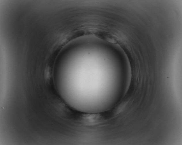 X0000086930135200704161432