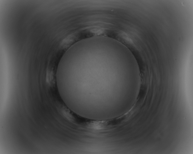 X0000086930136200704161432