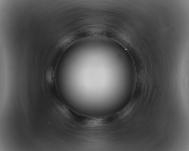 X0000086930138200704161432